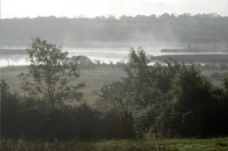 nebel